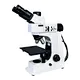 metallurgical microscope